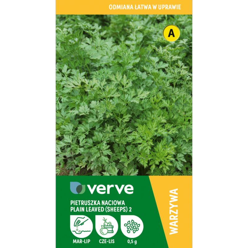 Frø af persille Plain Leaved Verve