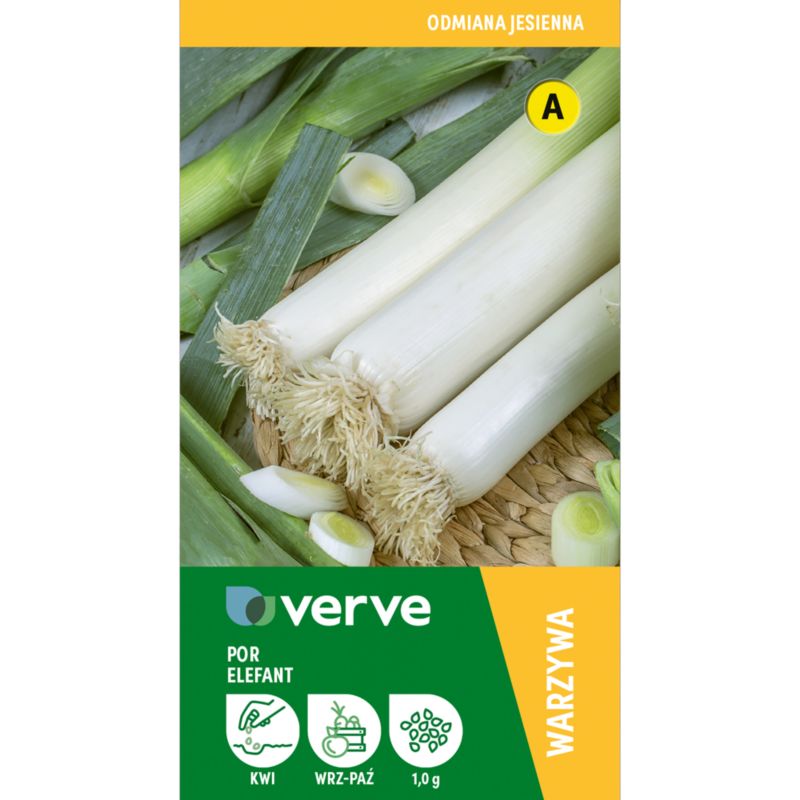 Frø af porre Elefant Verve