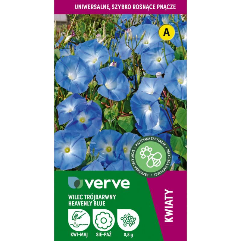 Frø af blå klematis Heavenly blue Verve