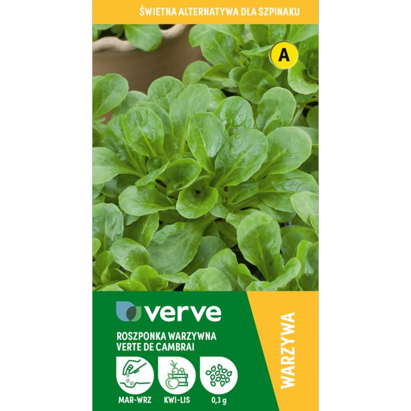 Frø til grøn rosettsalat Verte de Camb Verve