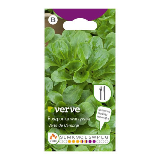 Frø til grøn rosettsalat Verte de Camb Verve