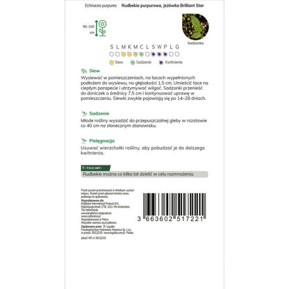 Frø af rudbeckia jeżówka Verve purpur