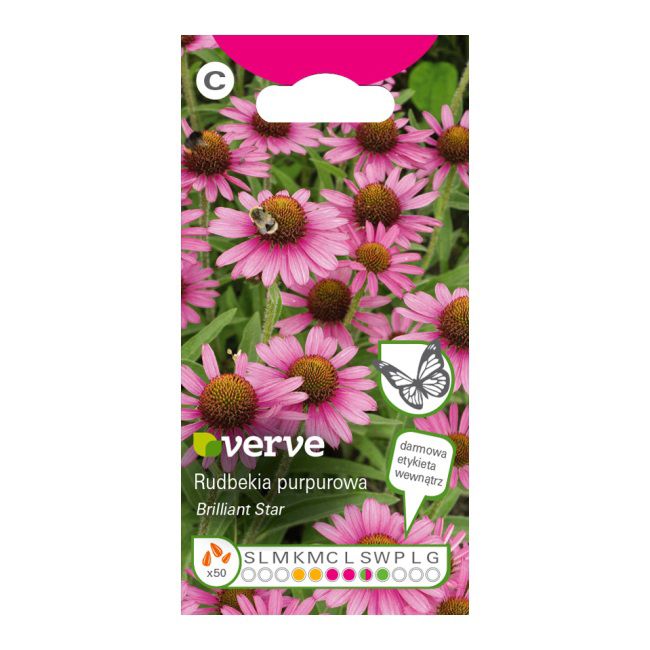 Frø af rudbeckia jeżówka Verve purpur