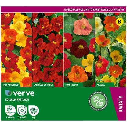 Frø af karse Verve-kollektion med blomsterkarse