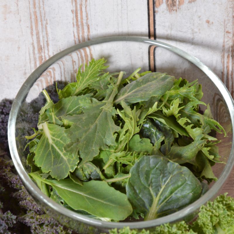 Baby Leaf Verve salatfrø blanding Orie