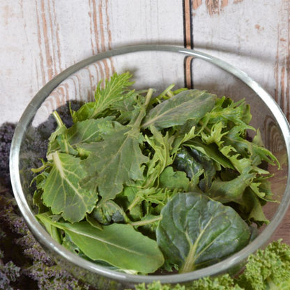 Baby Leaf Verve salatfrø blanding Orie
