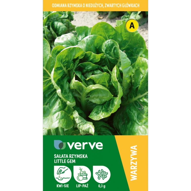 Frø til Little Gem Verve salat