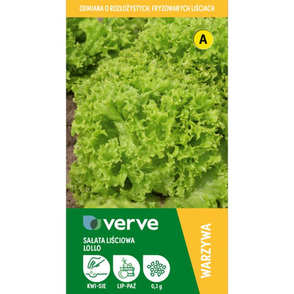 Frø til salat Lollo Bionda Verve
