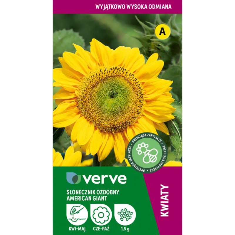 Frø af solsikke American Giant Verve
