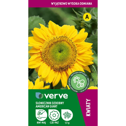 Frø af solsikke American Giant Verve