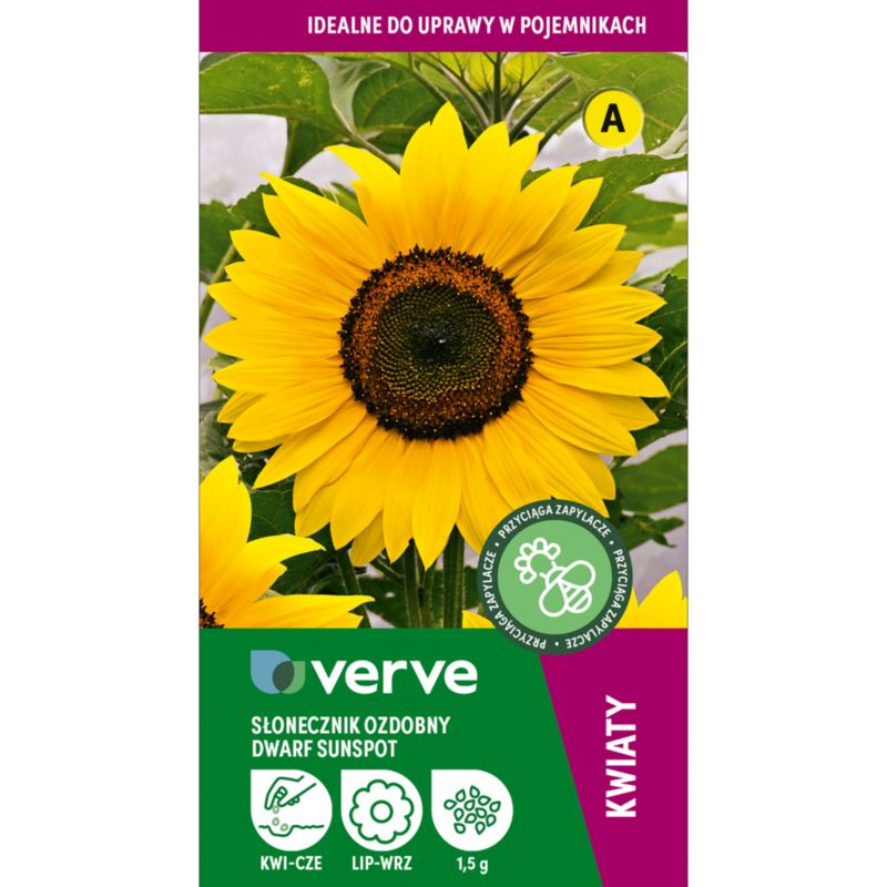 Frø af solsikke Dwarf Sunspot Verve