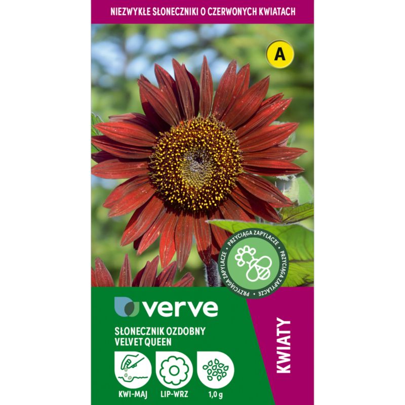 Frø af solsikke Velvet Queen Verve