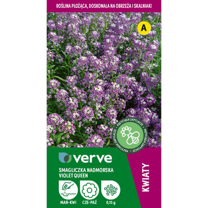 Frø af smagliczka Violet Queen Verve i violet