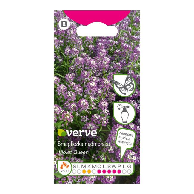 Frø af smagliczka Violet Queen Verve i violet