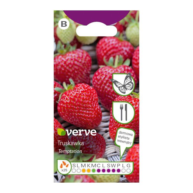 Frø af jordbær Temptation Verve