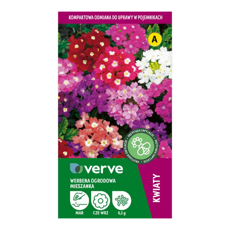 Frø til verbena Verve mix