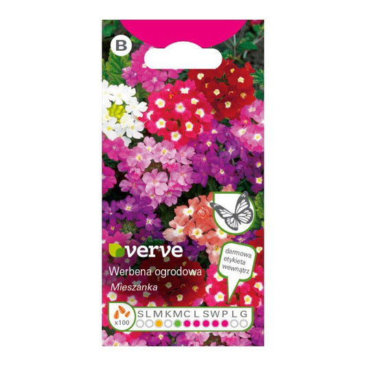 Frø til verbena Verve mix