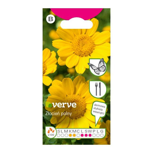 Frø af markkrysantemum Verve