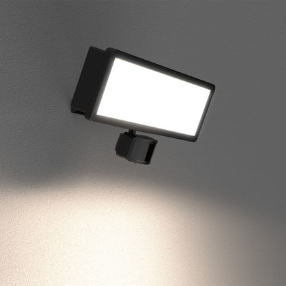 LED Projektør Davern 50 W 6250 lm 5000 K Sort