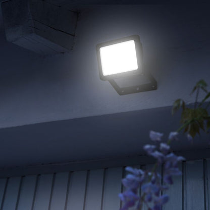 LED Projektør Lucan 10 W Sort