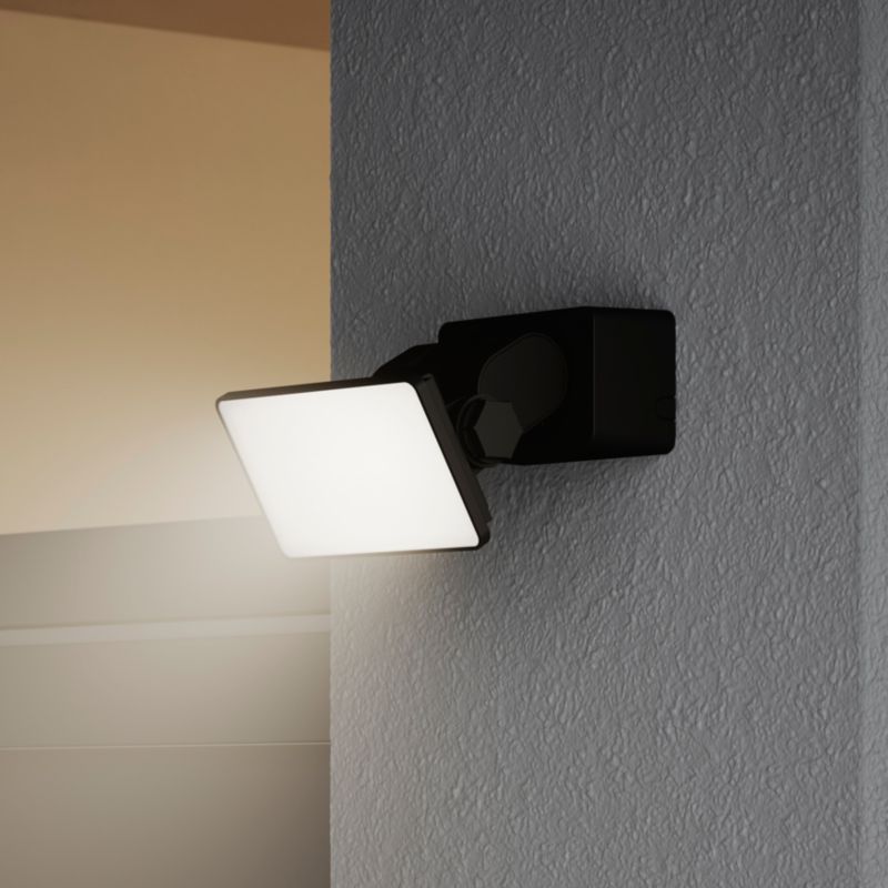 LED Projektør Davern 10 W Sort