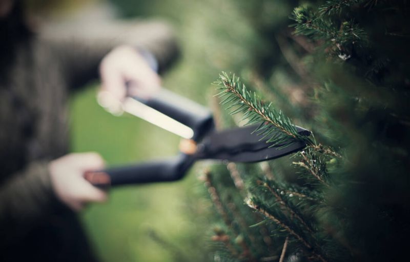Fiskars SingleStep hækkeklipper