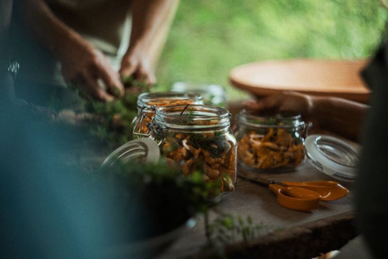 Fiskars universelle have­sakse S90 21 cm