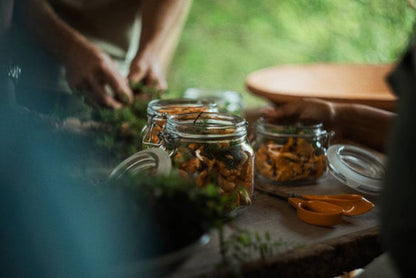 Fiskars universelle have­sakse S90 21 cm