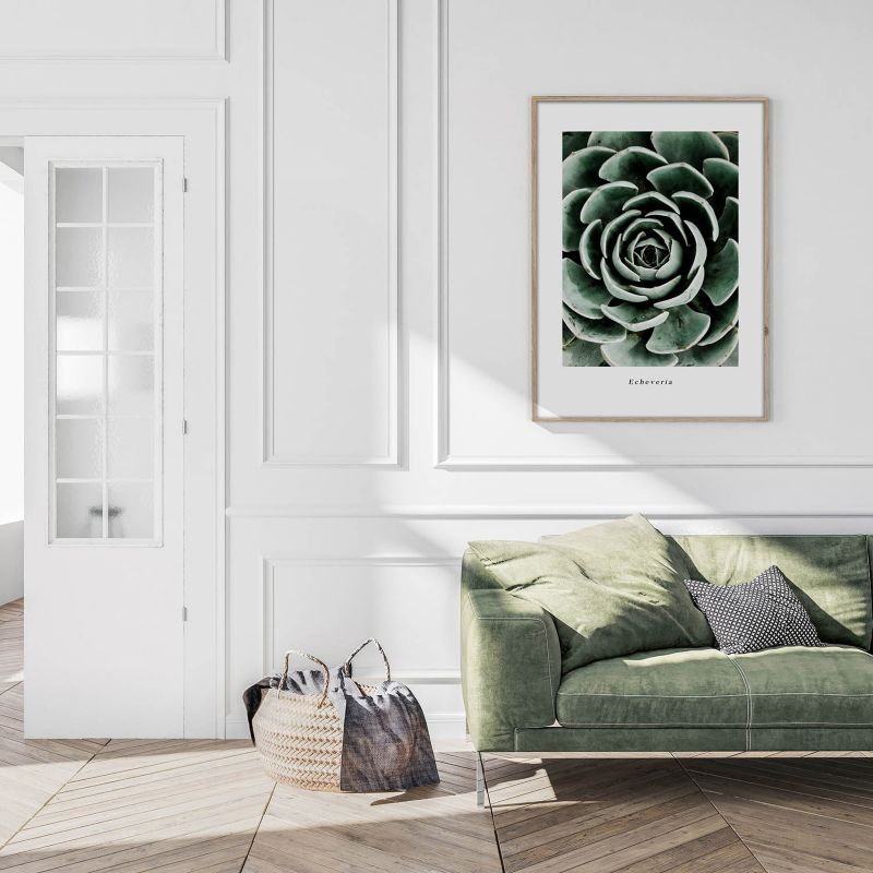 Artbox Echeveria billede 50 x 70 cm