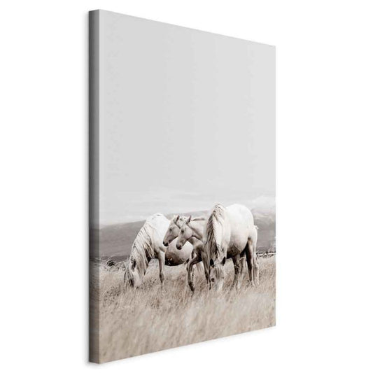 Artgeist billede Hvide heste 40 x 60 cm italiensk lærred 1 stk