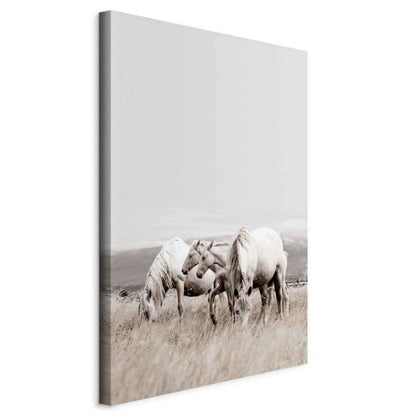 Artgeist billede Hvide heste 80 x 120 cm nonwoven lærred 1 stk