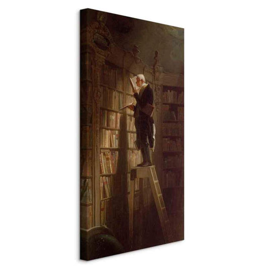 Artgeist bibliotekar 30 x 60 cm non-woven lærred 1 stk