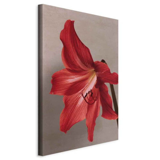 Artgeist billede Rød blomst 20 x 30 cm italiensk lærred 1 stk