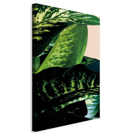 Artgeist Difenbachia billede 20 x 30 cm non-woven lærred 1 stk