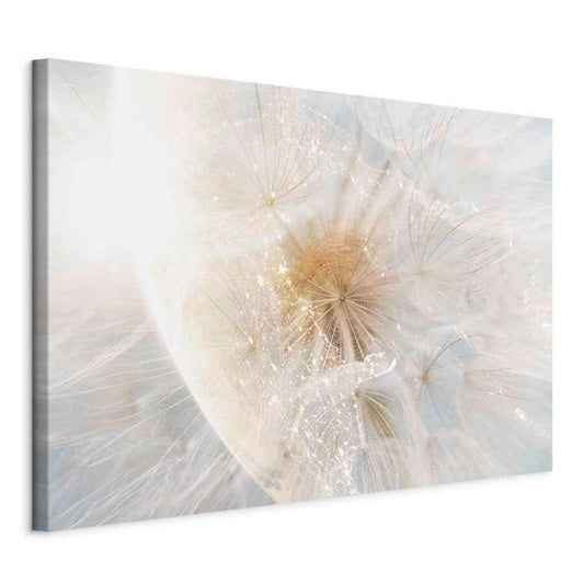 Artgeist billede 'Løvetand i solen' 30 x 20 cm non-woven lærred 1 stk