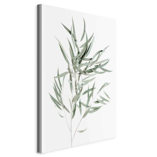 Artgeist Eukaliptus Nicholii 40 x 60 cm italiensk lærredsbillede, 1 stk