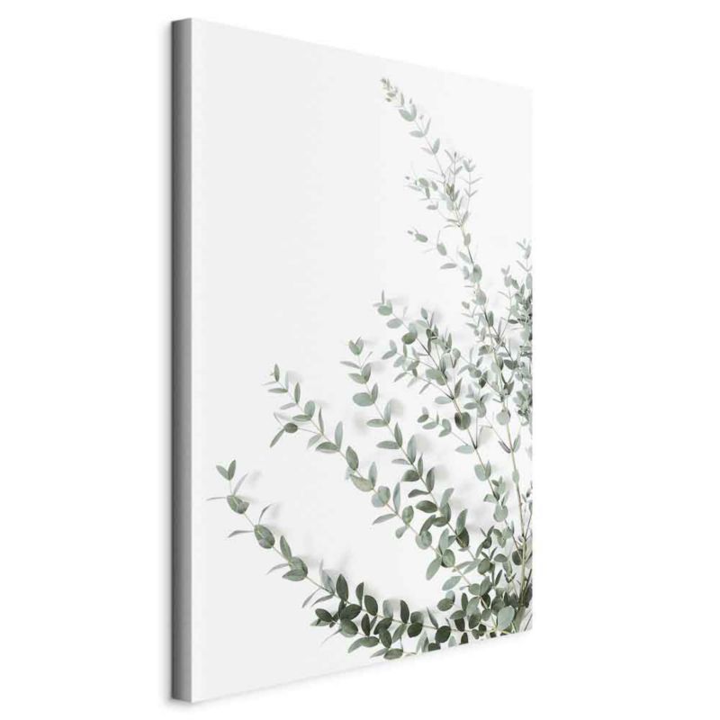 Artgeist Eukaliptus Parvifolia lærredsbillede 80 x 120 cm italiensk lærred 1 stk