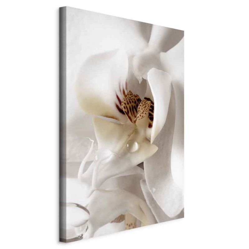 Artgeist dråbe af drøm 60 x 90 cm non-woven lærred 1 stk