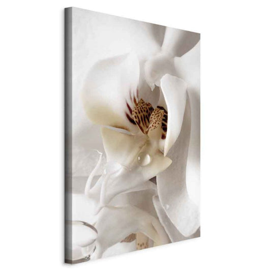 Artgeist dråbe af drøm 60 x 90 cm non-woven lærred 1 stk