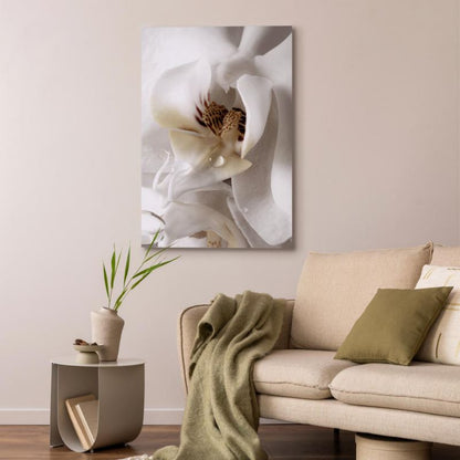 Artgeist dråbe af drøm 60 x 90 cm non-woven lærred 1 stk