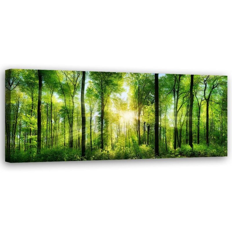 Billede til stue, værelse eller kontor Feeby Skov Natur Grøn 150x50 cm 1 stk