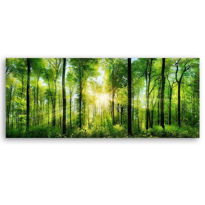 Billede til stue, værelse eller kontor Feeby Skov Natur Grøn 150x50 cm 1 stk