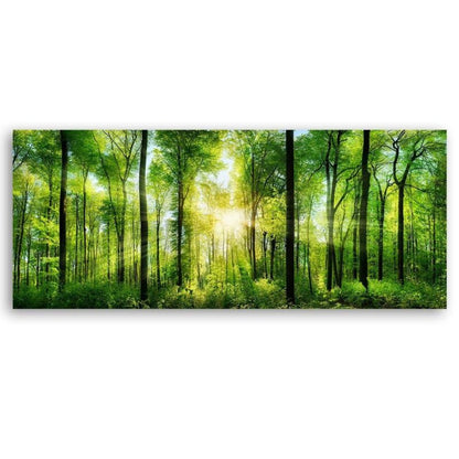 Billede til stue, værelse eller kontor Feeby Skov Natur Grøn 150x50 cm 1 stk