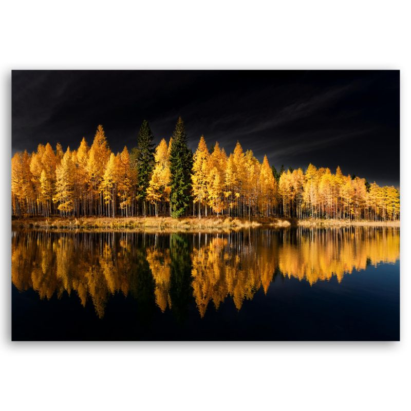 Feeby landskab skov natur guldfarvet lærredsbillede til stue og soveværelse 120x80 cm 1 stk