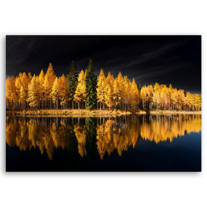 Lærredsbillede til stue og soveværelse Feeby Landskab Skov Natur Guld 60x40 cm 1 stk