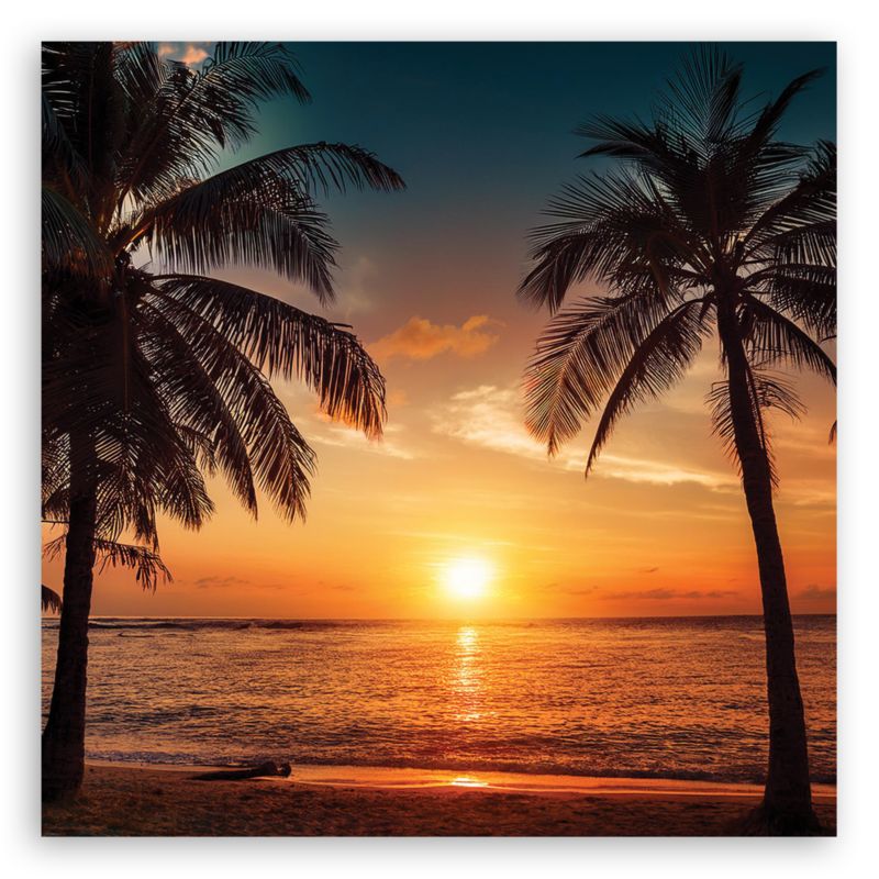 Billede til stue og soveværelse Feeby Solnedgang Strand Palmer 40x40 cm 1 stk