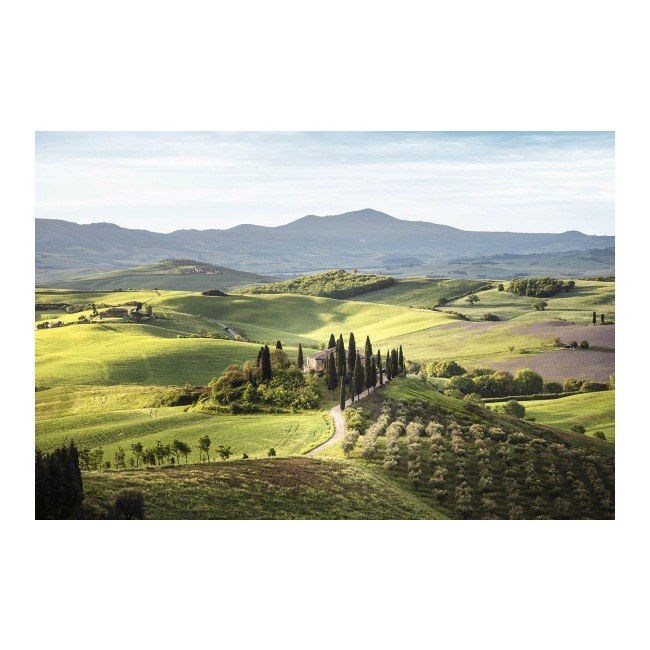 Glasspik Nature Tuscany billede 80 x 120 cm