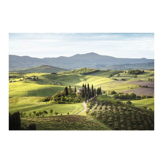 Glasspik Nature Tuscany billede 80 x 120 cm