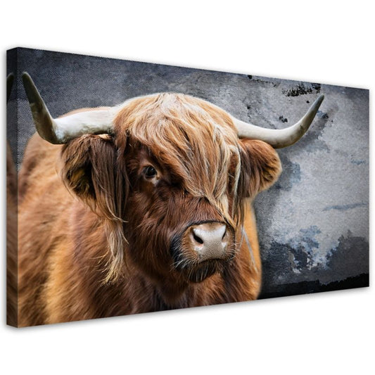 Lærredsbillede Feeby 80x40 cm Skotsk Ko Dyr Natur 1 stk.