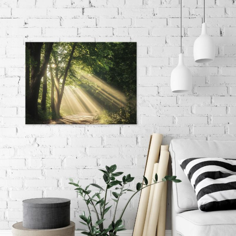 Vægmaleri på lærred WALLARENA 120x80 cm til soveværelse, stue og køkken - Skov og natur, 1 stk.